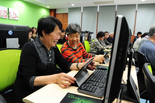 聚焦五大功能，賈煒為上海學(xué)習(xí)型城市建設(shè)注入高質(zhì)量教育咨詢服務(wù)新動(dòng)能